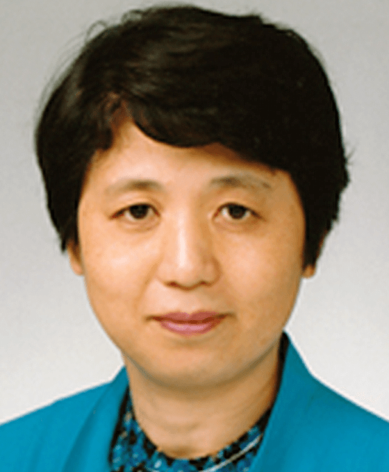 Sponsorship/Finance Chair: Yasuko Uchigata